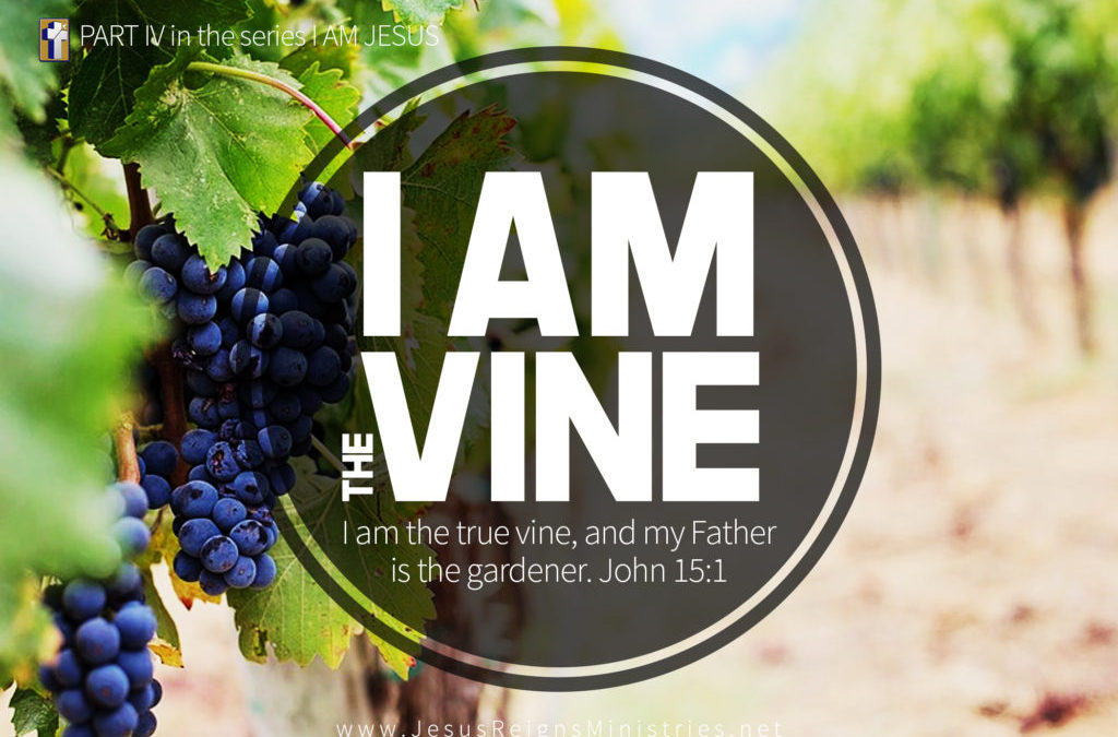 I AM the Vine